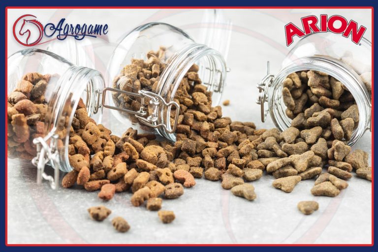pienso arion perros